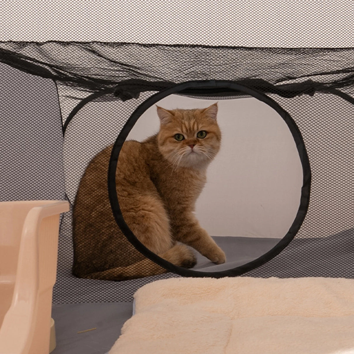 Foldable Cat Tunnel Play House with Breathable Mesh