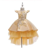 Girls' Tulle Lace Ball Gown Flower Girl Dress