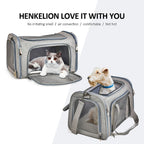 Breathable Mesh Travel Pet Carrier Shoulder Bag for Cats Dogs