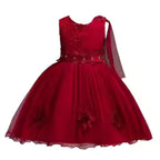 Flower Girl Tulle Lace Princess Dress