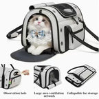 Collapsible Breathable Pet Crossbody Travel Carrier Bag for Dogs Cats