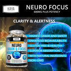 Nootropic Brain Support Supplement Memory Focus Capsules