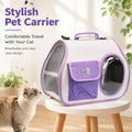 Portable Space Capsule Travel Pet Carrier Bag for Cats Dogs