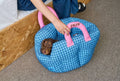 Portable Pet Car Seat Travel Bed for Cats Dogs
