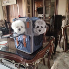 Breathable Pet Carrier Backpack for Cats Dogs