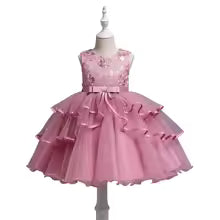 Flower Girl Tulle Lace Princess Dress