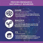Nootropic Brain and Focus Dietary Supplement