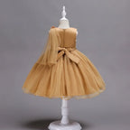 Flower Girl Tulle Lace Princess Dress