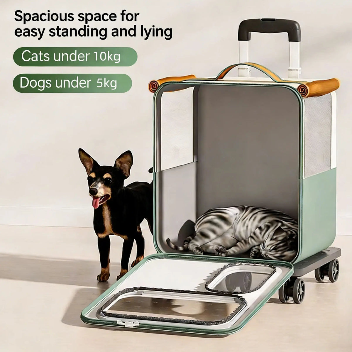 Rolling Pet Carrier with Wheels for Cats Dogs