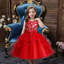 Flower Girl Tulle Lace Princess Dress
