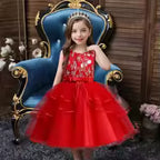 Flower Girl Tulle Lace Princess Dress
