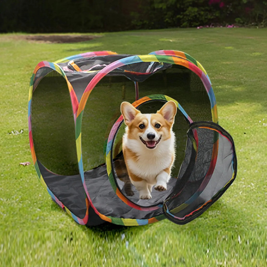 Foldable Mesh Cat Tent Cube Play House