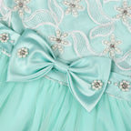 Girls' Embroidered Lace Tulle Ball Gown Party Dress