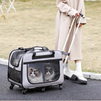 Double-layer Rolling Pet Stroller Carrier Backpack for Cats Dogs