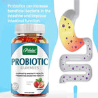 Organic Probiotics Gut Health Digestive Dietary Supplement Gummies