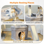 Small Cat Tree Tower Condo Scratching Post for Cats