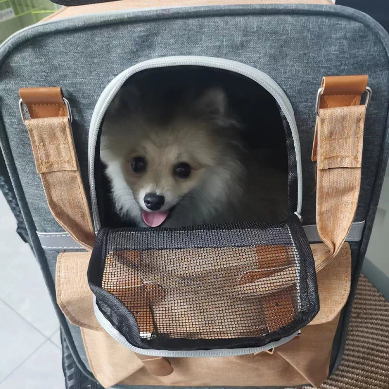 Breathable Pet Carrier Backpack for Cats Dogs