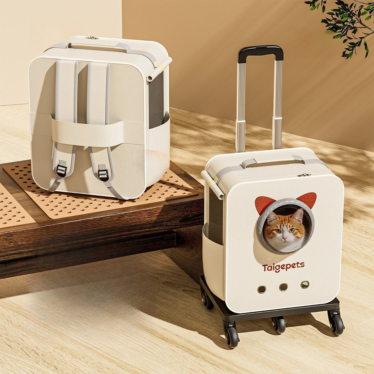 Detachable Travel Trolley Case Pet Carrier for Cats Dogs