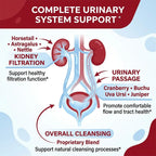Kidney Cleanse Capsules with Cranberry Extract