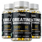 Creatine Monohydrate Muscle Strength Dietary Supplement Capsules