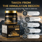 Shilajit Energy & Cognitive Support Dietary Supplement Resin