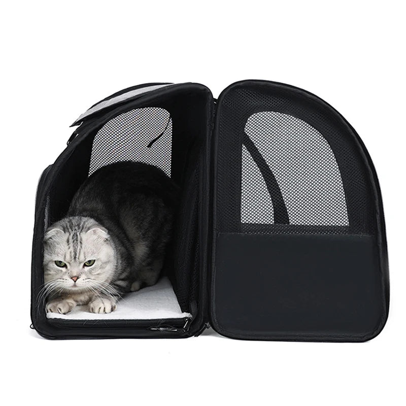 Expandable Breathable Mesh Pet Carrier Backpack for Cats