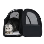 Expandable Breathable Mesh Pet Carrier Backpack for Cats