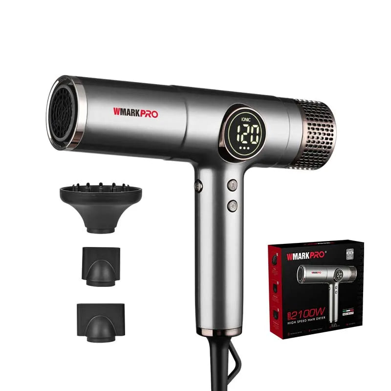 Professional Negative Ion Hair Dryer 2100W