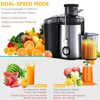 Household Electric Centrifugal Fruit and Vegetable Juicer