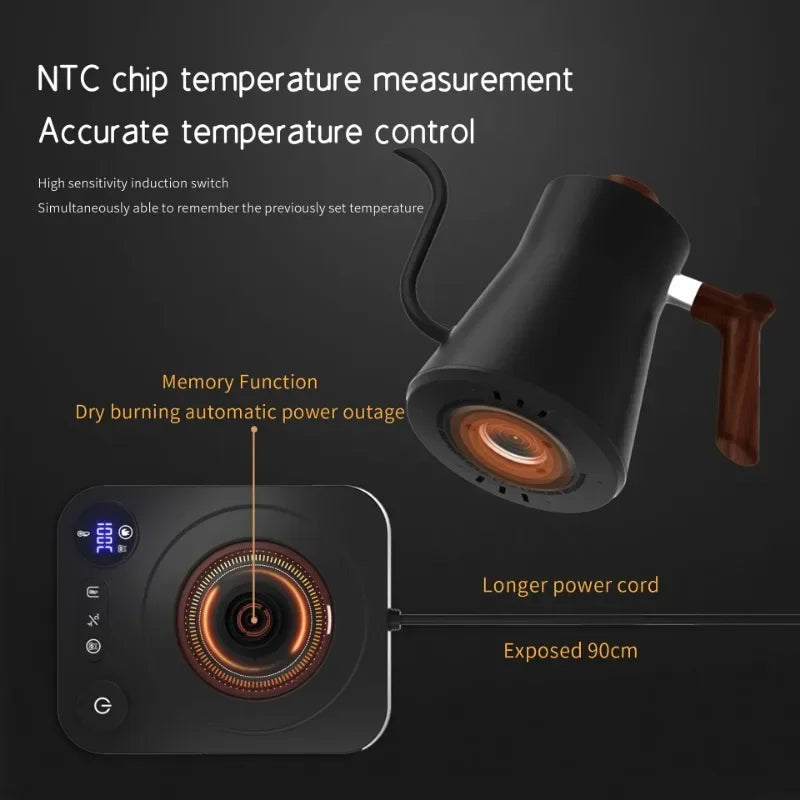 30.4-Oz Electric Gooseneck Temperature Control Kettle