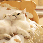Wooden Bear Cat Bed for Cats