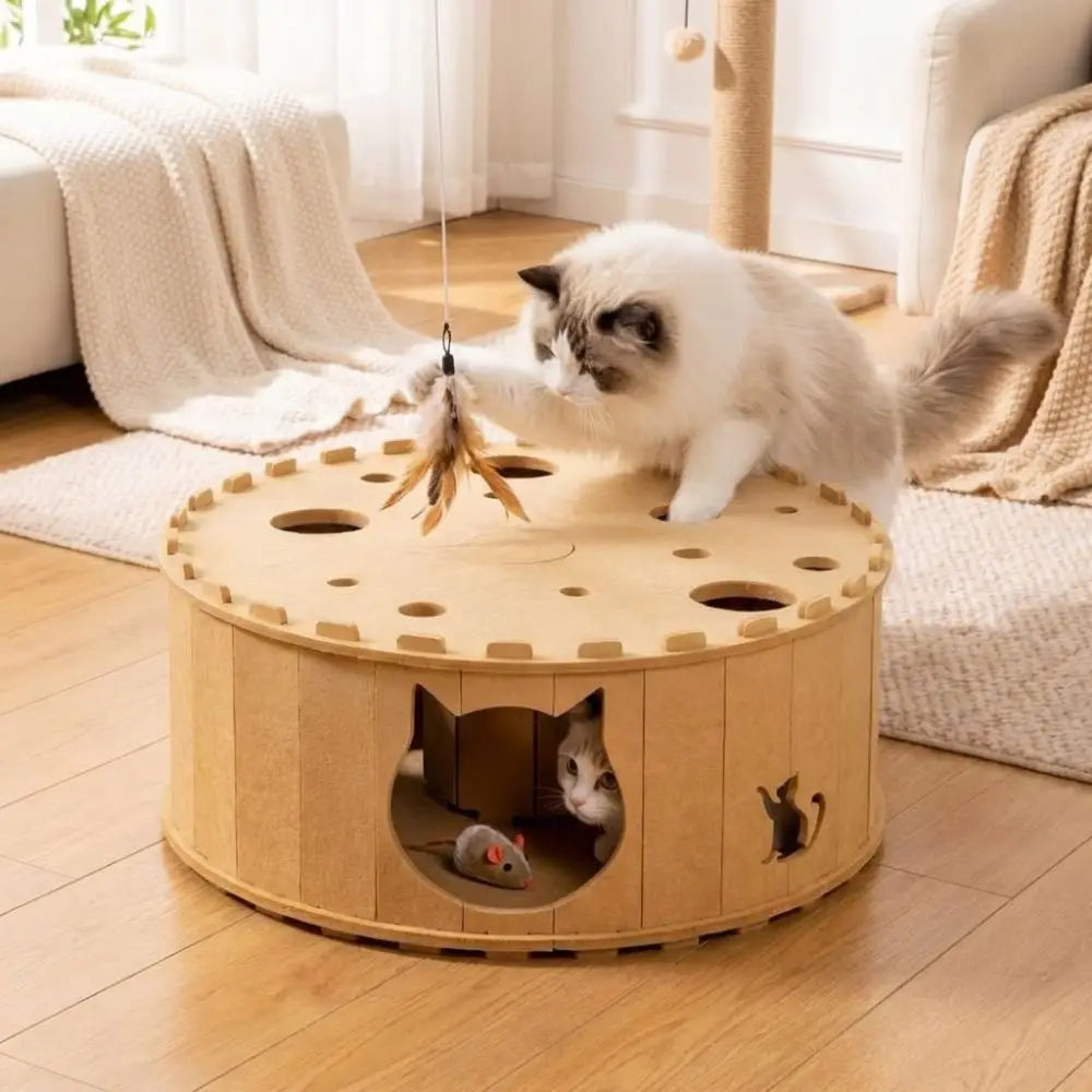 Multi-Hole Felt Cat Tunnel House Scratching Board