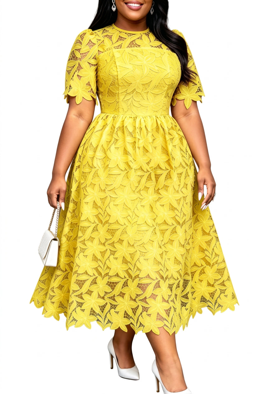 Women's Elegant Hollow Out Lace A-Line Maxi Dress
