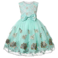 Girls' Embroidered Lace Tulle Ball Gown Party Dress