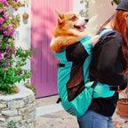 Breathable Pet Backpack Dog Carrier Bag with Waist Belt