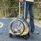 Portable Breathable Rolling Pet Carrier Suitcase for Cats Dogs