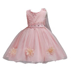 Flower Girl Tulle Lace Princess Dress
