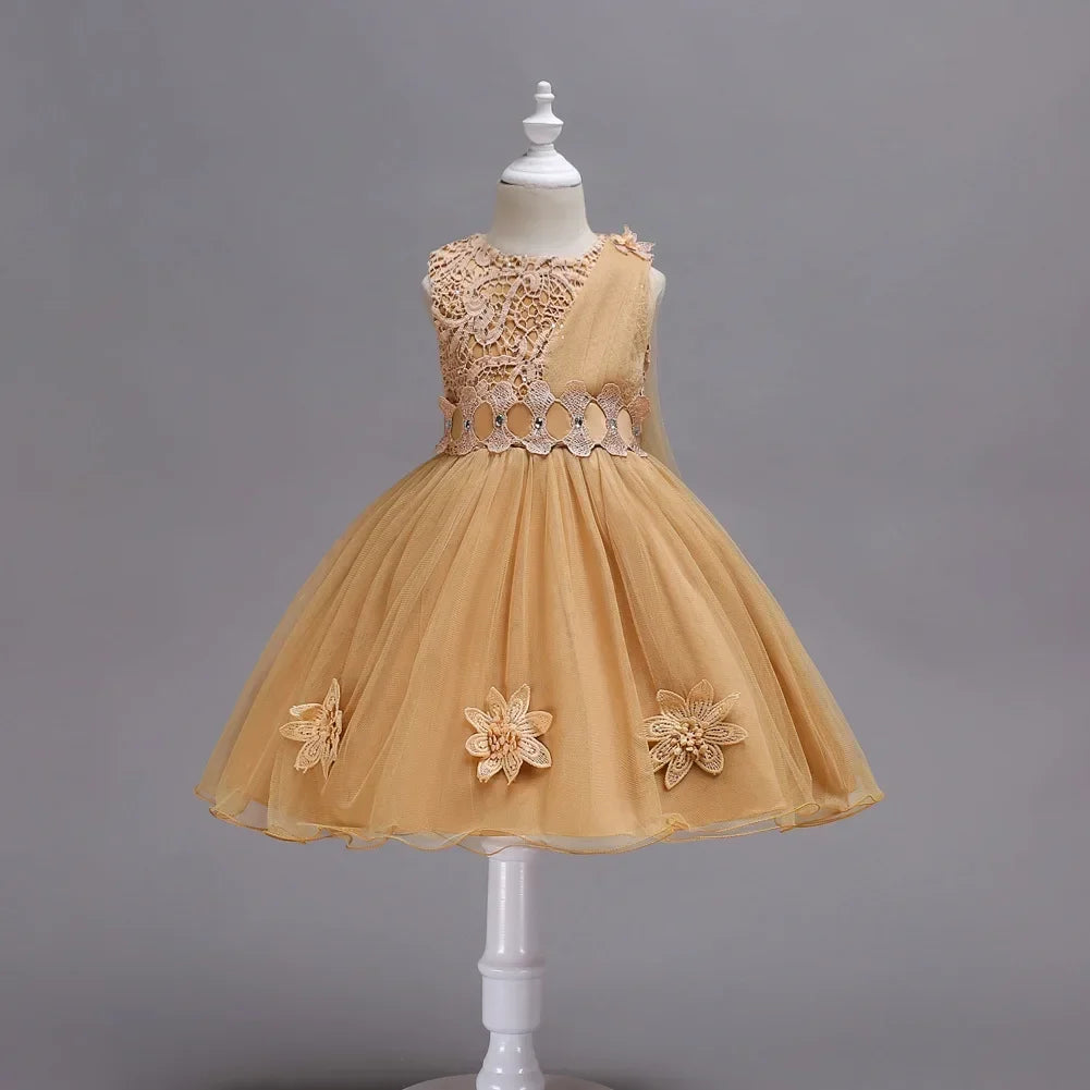 Flower Girl Tulle Lace Princess Dress
