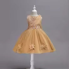 Flower Girl Tulle Lace Princess Dress