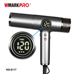Professional Negative Ion Hair Dryer 2100W