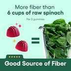 Prebiotic Fiber Digestive Health Support Dietary Supplement Gummies