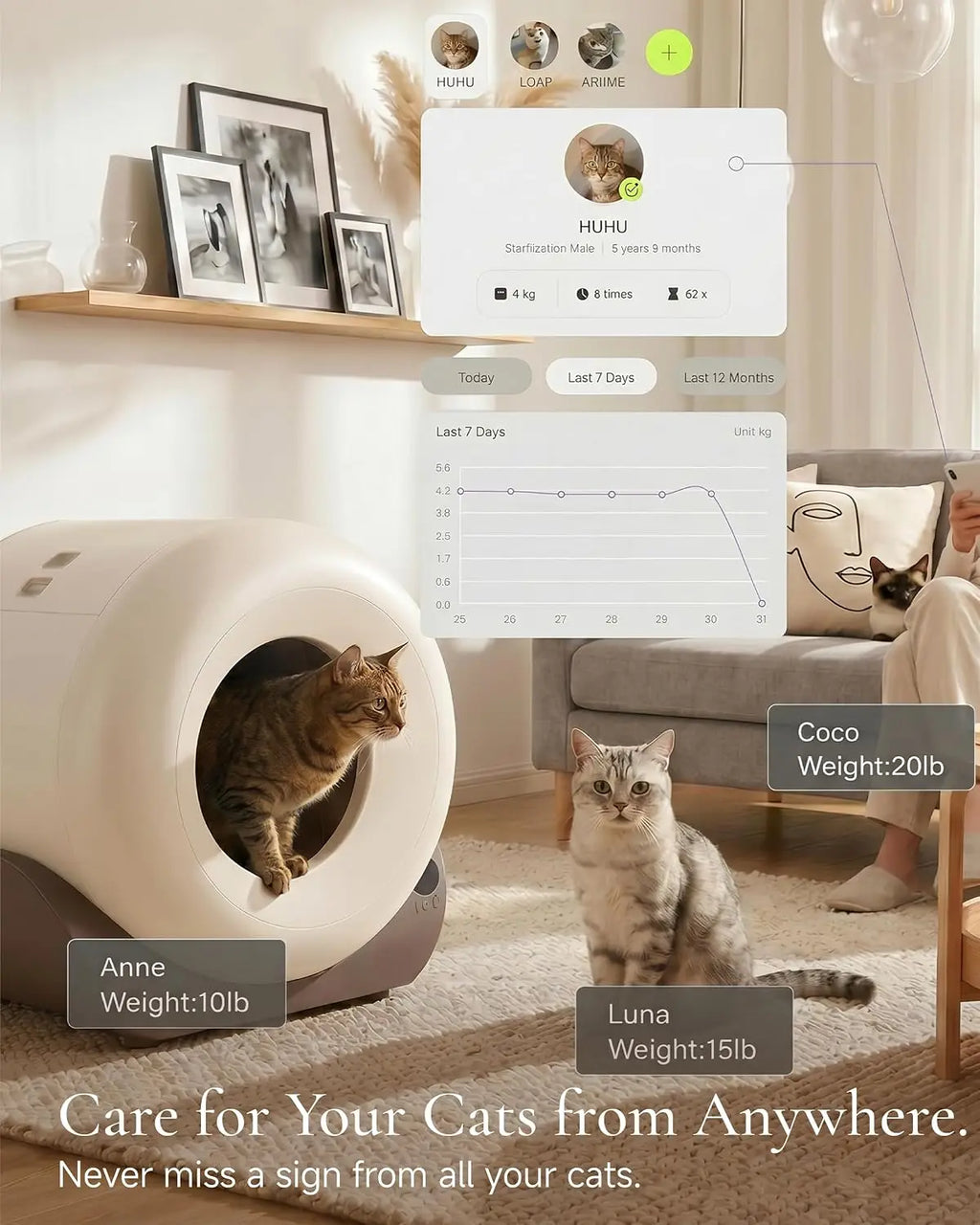 Automatic Self Cleaning Cat Litter Box for Cats