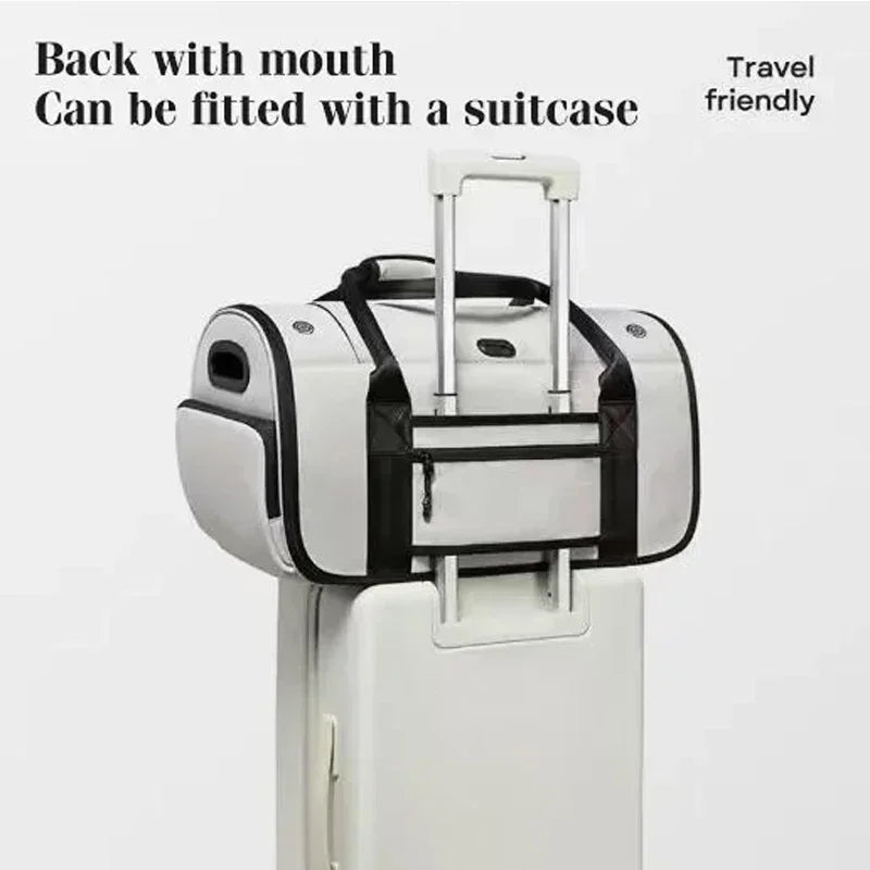 Collapsible Breathable Pet Crossbody Travel Carrier Bag for Dogs Cats