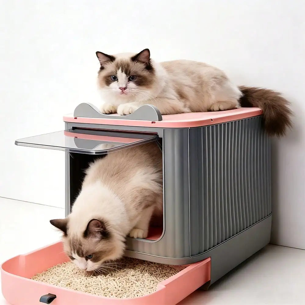 Large Top Entry Enclosed Cat Litter Box for Cats