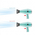 Professional Negative Ion Ceramic Hair Dryer V-452