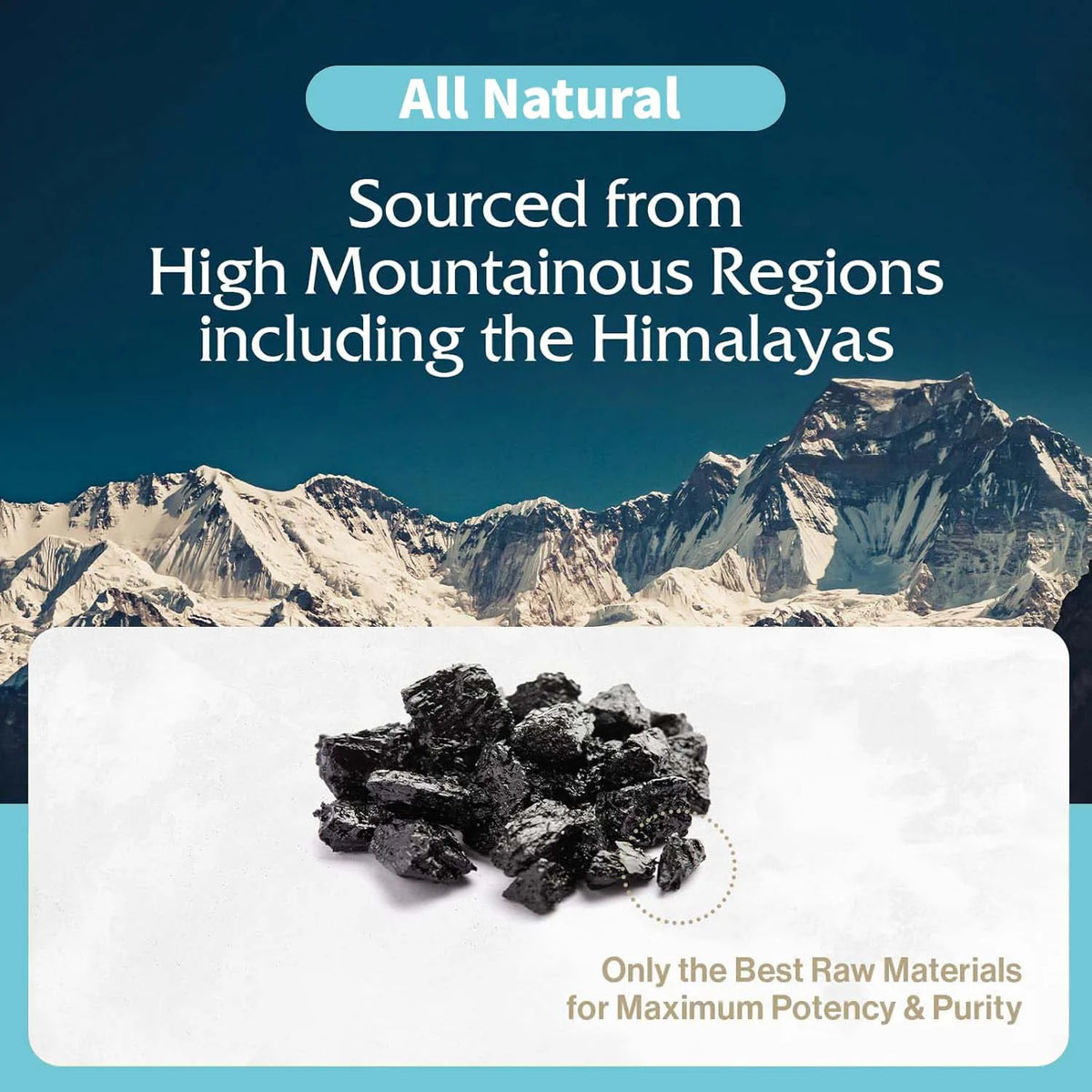 Pure Himalayan Shilajit Energy & Immune Support Dietary Supplement Resin