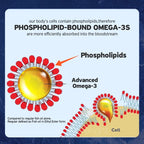 Krill Oil Phospholipid Omega-3 Astaxanthin EPA DHA Softgels