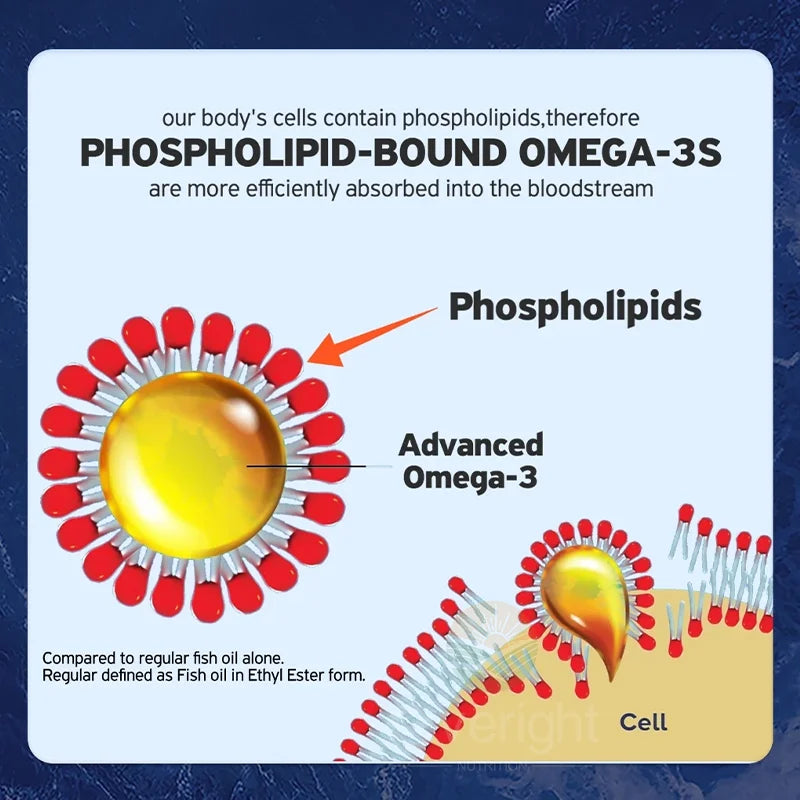 Krill Oil Phospholipid Omega-3 Astaxanthin EPA DHA Softgels