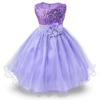 Flower Girl Tulle Lace Princess Dress