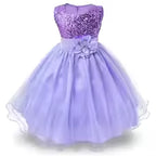 Flower Girl Tulle Lace Princess Dress
